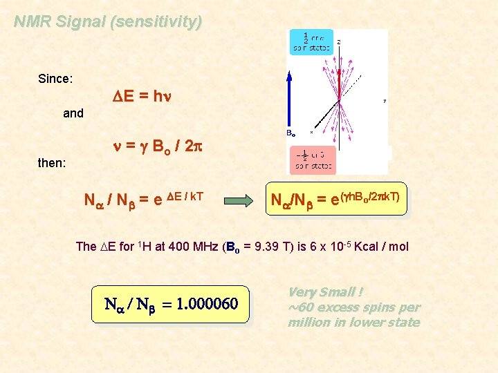 NMR Signal (sensitivity) Since: DE = hn and then: n = g Bo /