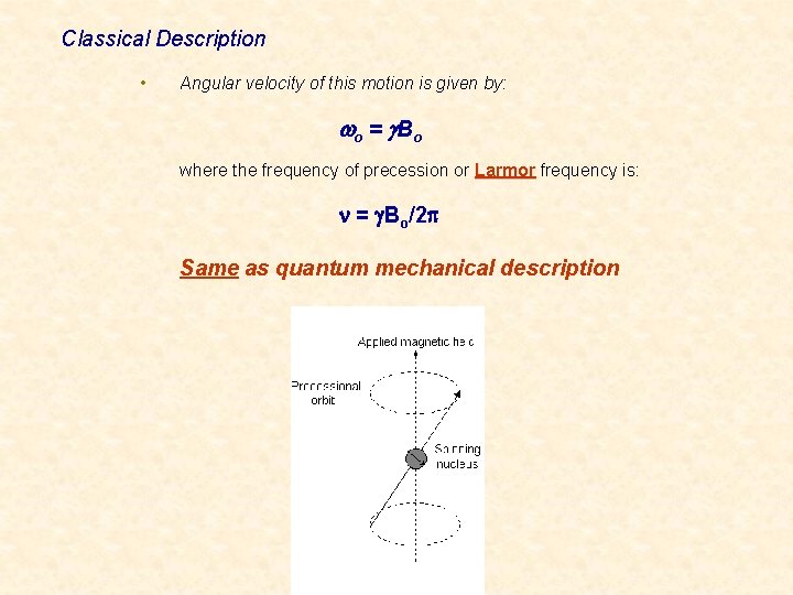 Classical Description • Angular velocity of this motion is given by: wo = g