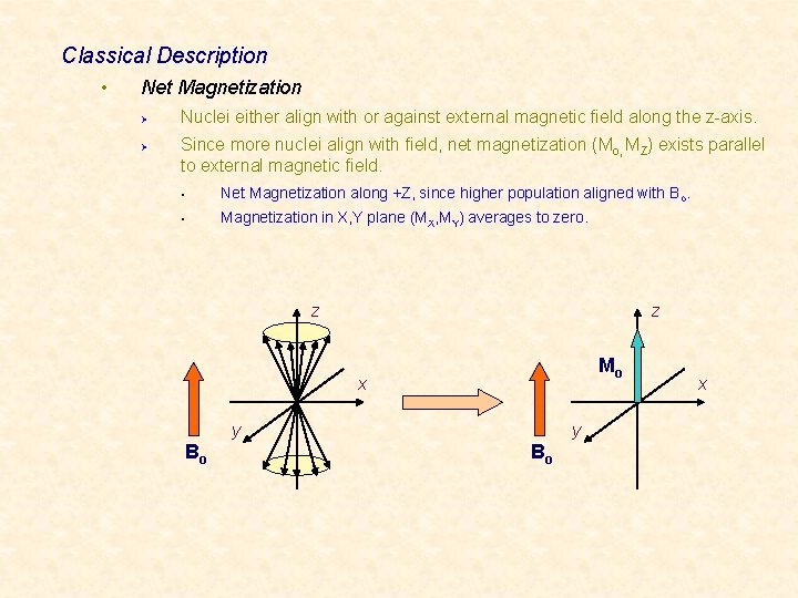 Classical Description • Net Magnetization Ø Ø Nuclei either align with or against external