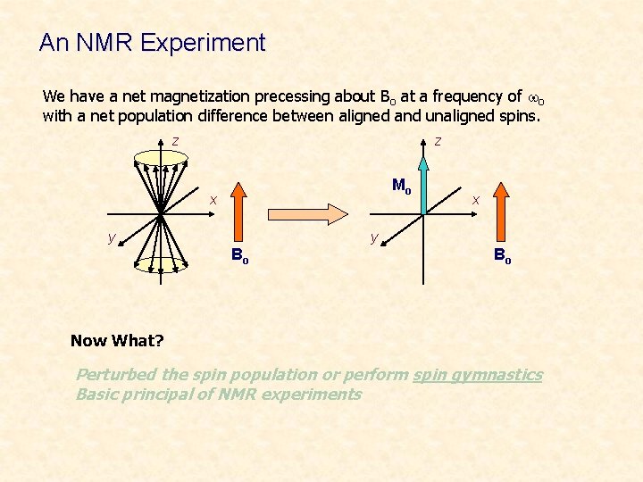 An NMR Experiment We have a net magnetization precessing about Bo at a frequency