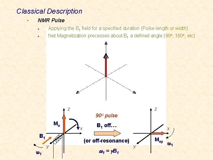 Classical Description • NMR Pulse Ø Applying the B 1 field for a specified