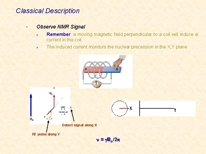 Classical Description • Observe NMR Signal Remember: a moving magnetic field perpendicular to a