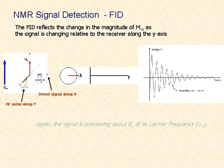 NMR Signal Detection - FID The FID reflects the change in the magnitude of