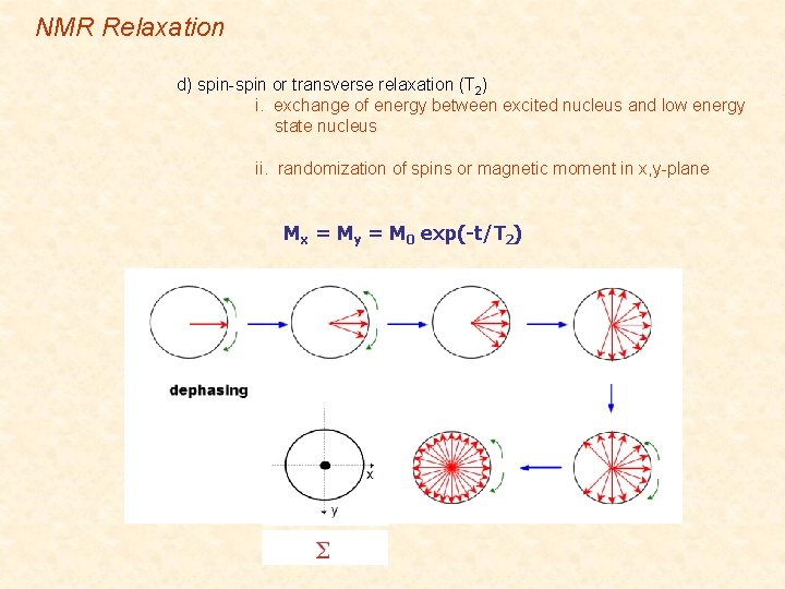 NMR Relaxation d) spin-spin or transverse relaxation (T 2) i. exchange of energy between
