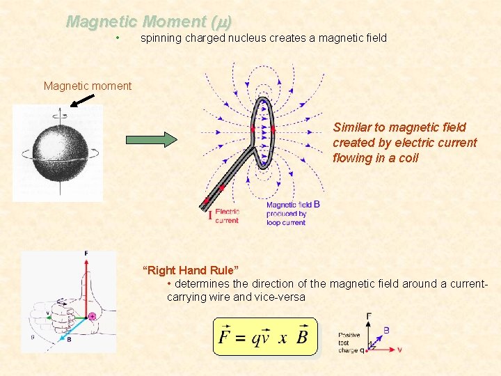 Magnetic Moment (m) • spinning charged nucleus creates a magnetic field Magnetic moment Similar