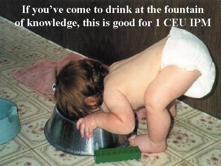 If you’ve come to drink at the fountain of knowledge, this is good for