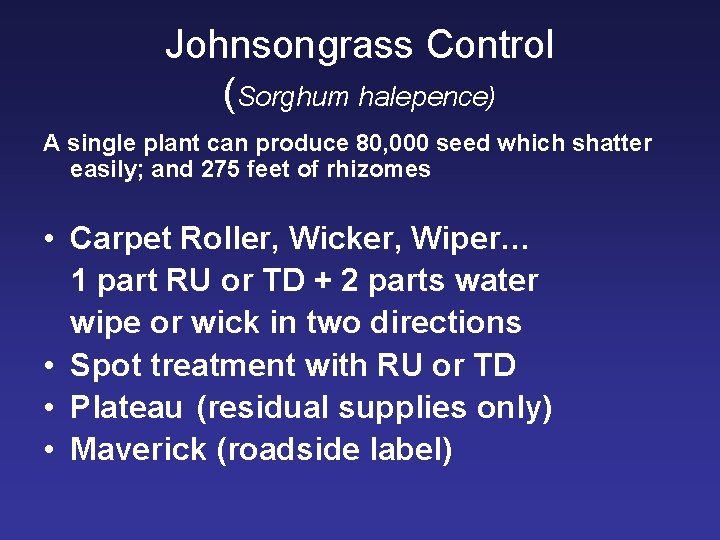 Johnsongrass Control (Sorghum halepence) A single plant can produce 80, 000 seed which shatter