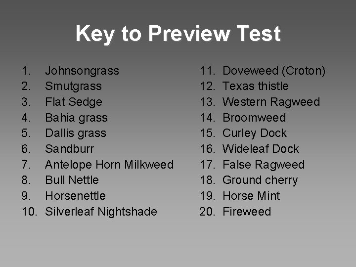 Key to Preview Test 1. 2. 3. 4. 5. 6. 7. 8. 9. 10.