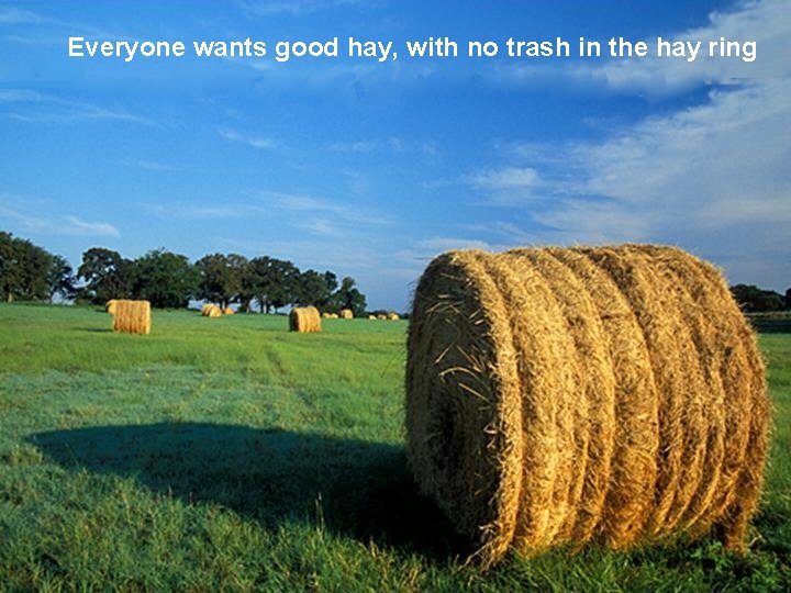Everyone wants good hay, with no trash in the hay ring 