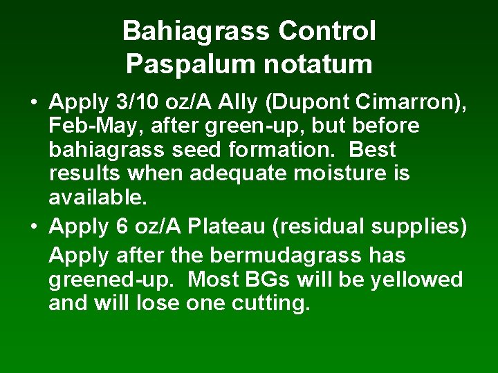 Bahiagrass Control Paspalum notatum • Apply 3/10 oz/A Ally (Dupont Cimarron), Feb-May, after green-up,