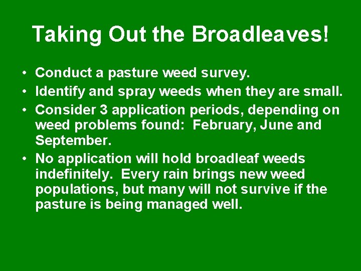 Taking Out the Broadleaves! • Conduct a pasture weed survey. • Identify and spray