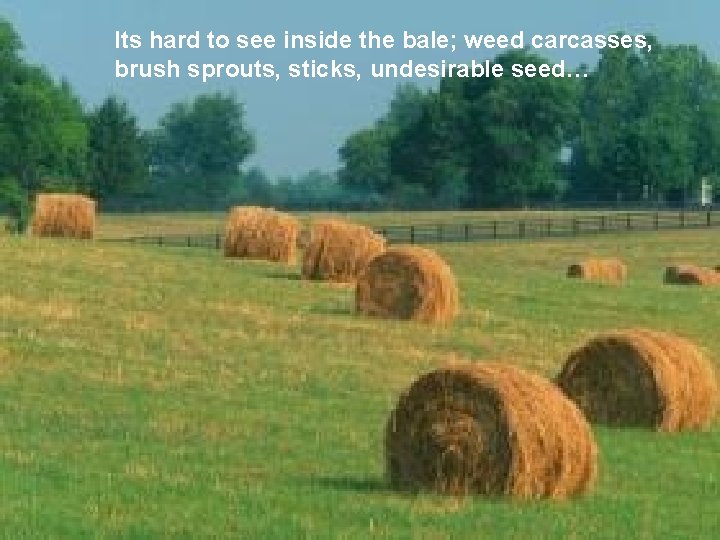 Its hard to see inside the bale; weed carcasses, brush sprouts, sticks, undesirable seed…