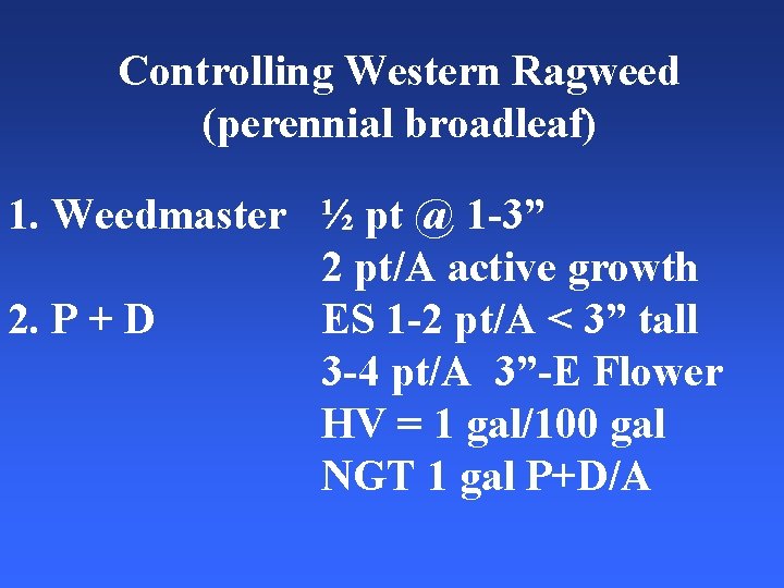Controlling Western Ragweed (perennial broadleaf) 1. Weedmaster ½ pt @ 1 -3” 2 pt/A
