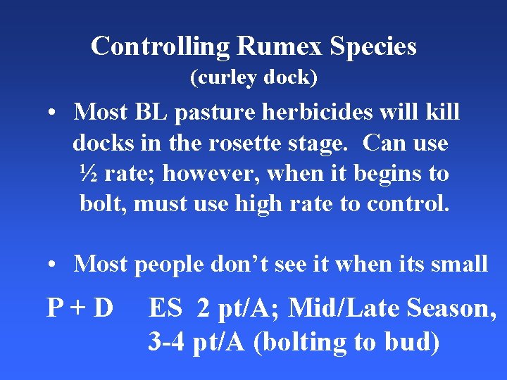 Controlling Rumex Species (curley dock) • Most BL pasture herbicides will kill docks in