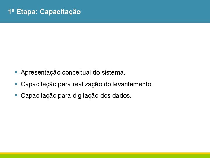 1ª Etapa: Capacitação § Apresentação conceitual do sistema. § Capacitação para realização do levantamento.