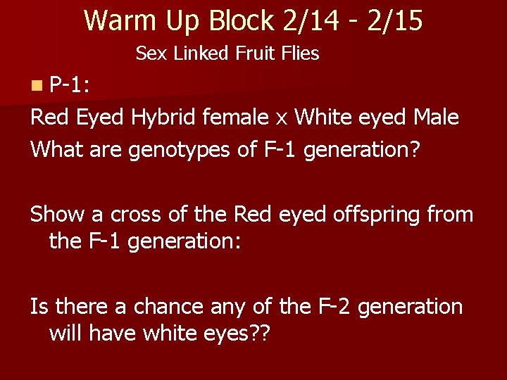 Warm Up Block 2/14 - 2/15 Sex Linked Fruit Flies n P-1: Red Eyed