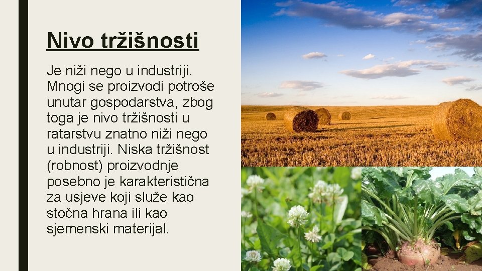 Nivo tržišnosti Je niži nego u industriji. Mnogi se proizvodi potroše unutar gospodarstva, zbog