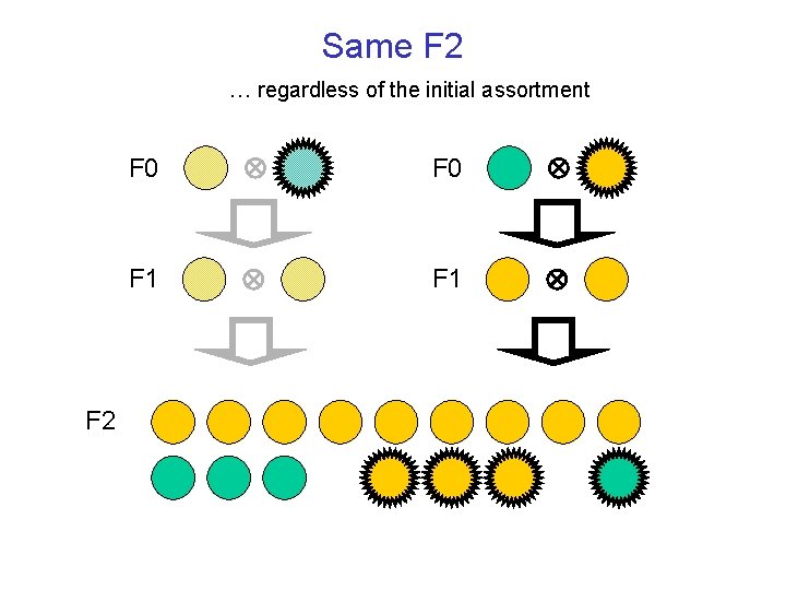 Same F 2 … regardless of the initial assortment F 2 F 0 F