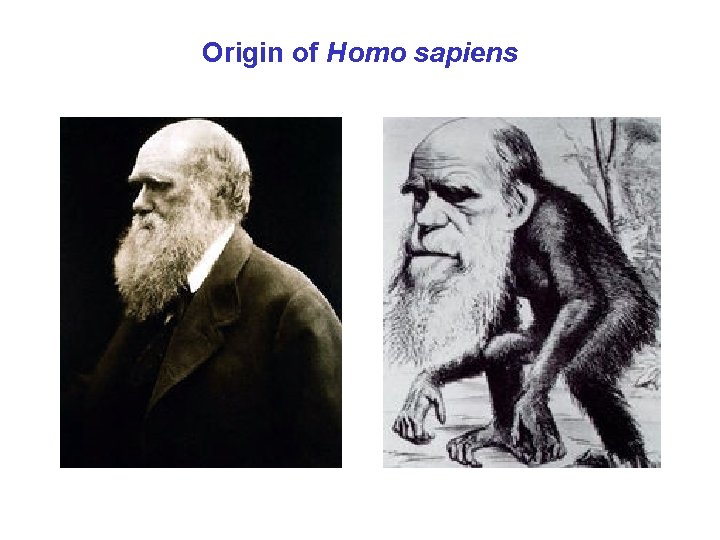 Origin of Homo sapiens 
