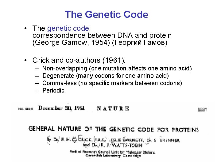 The Genetic Code • The genetic code: correspondence between DNA and protein (George Gamow,
