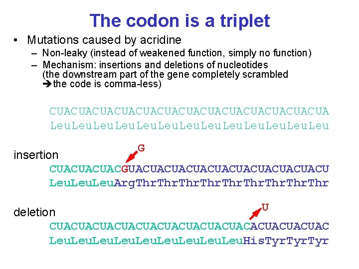 The codon is a triplet • Mutations caused by acridine – Non-leaky (instead of