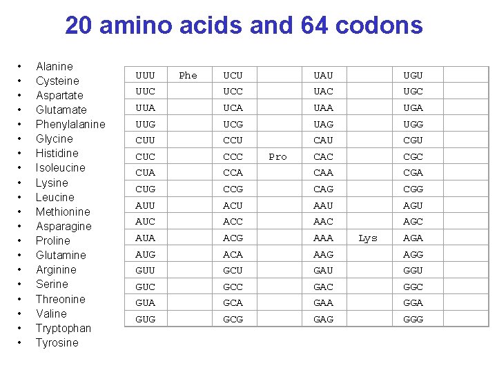 20 amino acids and 64 codons • • • • • Alanine Cysteine Aspartate