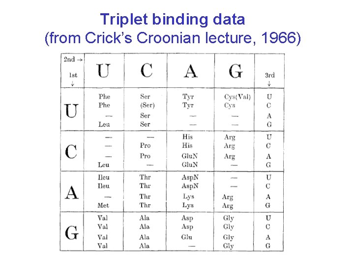 Triplet binding data (from Crick’s Croonian lecture, 1966) 