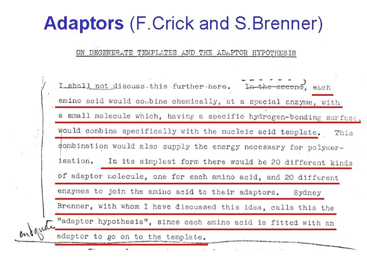 Adaptors (F. Crick and S. Brenner) 