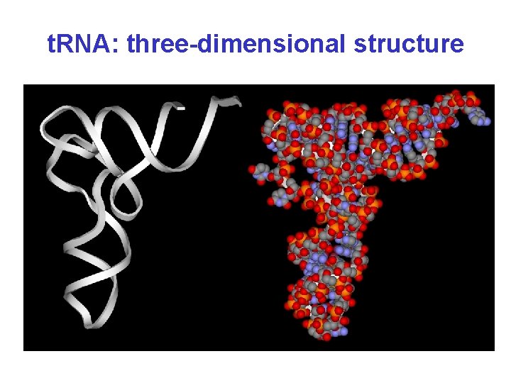 t. RNA: three-dimensional structure 