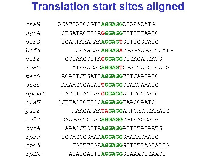 Translation start sites aligned dna. N gyr. A ser. S bof. A csf. B