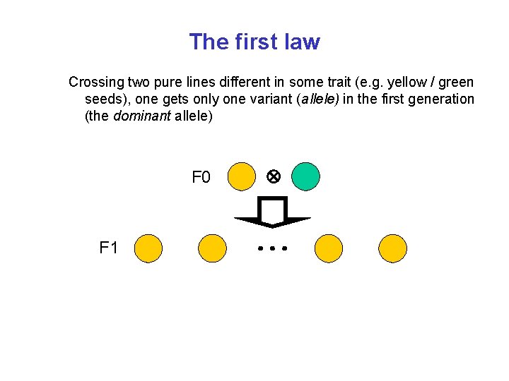 The first law Crossing two pure lines different in some trait (e. g. yellow