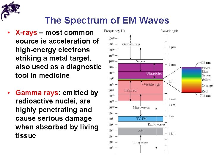 The Spectrum of EM Waves • X-rays – most common source is acceleration of