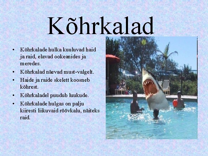 Kõhrkalad • Kõhrkalade hulka kuuluvad haid ja raid, elavad ookeanides ja meredes. • Kõhrkalad Kõhrkalad • Kõhrkalade hulka kuuluvad haid ja raid, elavad ookeanides ja meredes. • Kõhrkalad
