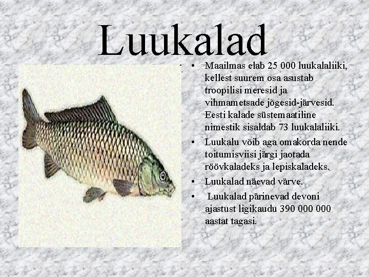 Luukalad • Maailmas elab 25 000 luukalaliiki, kellest suurem osa asustab troopilisi meresid ja Luukalad • Maailmas elab 25 000 luukalaliiki, kellest suurem osa asustab troopilisi meresid ja