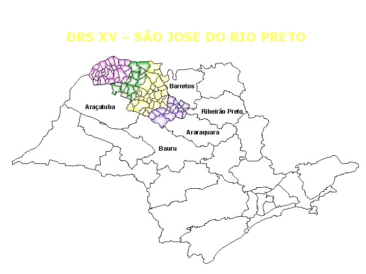 DRS XV – SÃO JOSE DO RIO PRETO Minas Gerais Barretos Araçatuba Ribeirão Preto