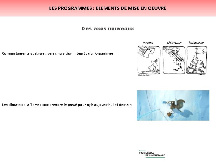 LES PROGRAMMES : ELEMENTS DE MISE EN OEUVRE Des axes nouveaux Comportements et stress