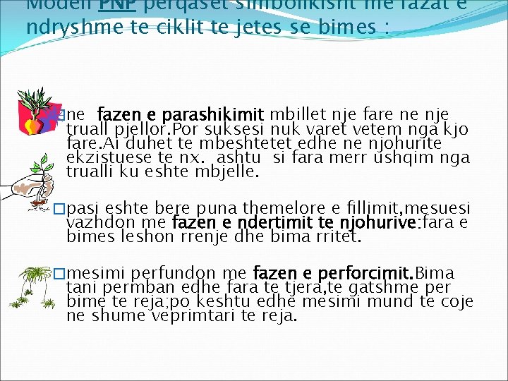 Modeli PNP perqaset simbolikisht me fazat e ndryshme te ciklit te jetes se bimes