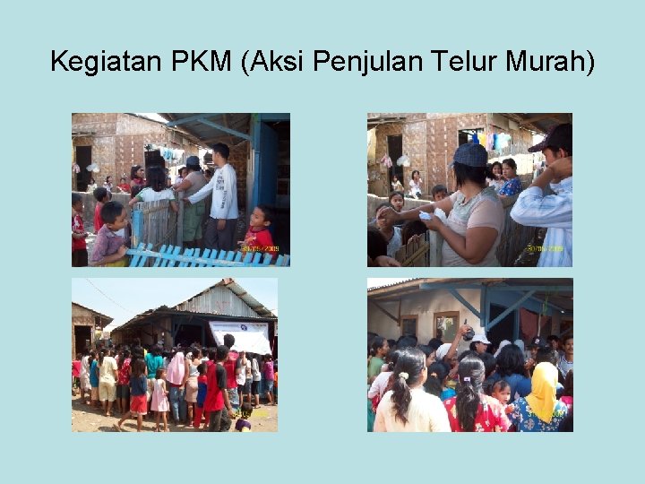 Kegiatan PKM (Aksi Penjulan Telur Murah) Kegiatan PKM (Aksi Penjulan Telur Murah)