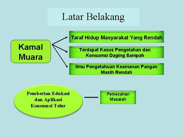 Latar Belakang Taraf Hidup Masyarakat Yang Rendah Kamal Muara Terdapat Kasus Pengolahan dan Konsumsi Latar Belakang Taraf Hidup Masyarakat Yang Rendah Kamal Muara Terdapat Kasus Pengolahan dan Konsumsi
