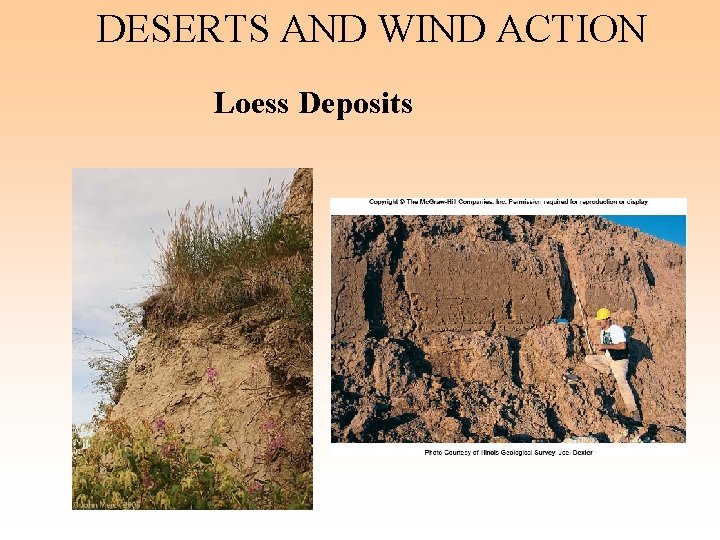 DESERTS AND WIND ACTION Loess Deposits 