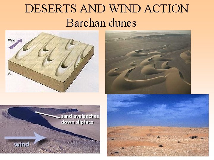 DESERTS AND WIND ACTION Barchan dunes 