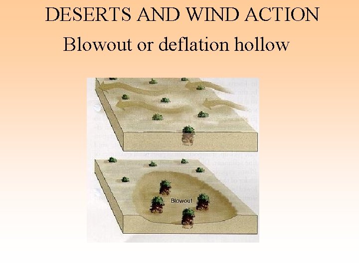 DESERTS AND WIND ACTION Blowout or deflation hollow 