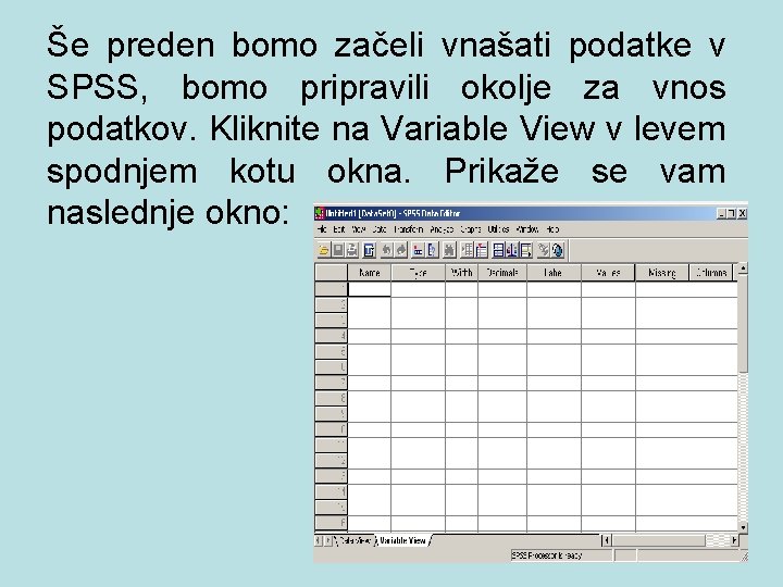 Še preden bomo začeli vnašati podatke v SPSS, bomo pripravili okolje za vnos podatkov.