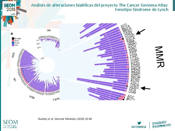 Análisis de alteraciones bialélicas del proyecto The Cancer Genoma Atlas: Fenotipo Síndrome de Lynch Análisis de alteraciones bialélicas del proyecto The Cancer Genoma Atlas: Fenotipo Síndrome de Lynch