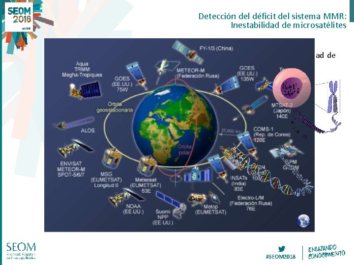 Detección del déficit del sistema MMR: Inestabilidad de microsatélites Características moleculares q Aumento de Detección del déficit del sistema MMR: Inestabilidad de microsatélites Características moleculares q Aumento de