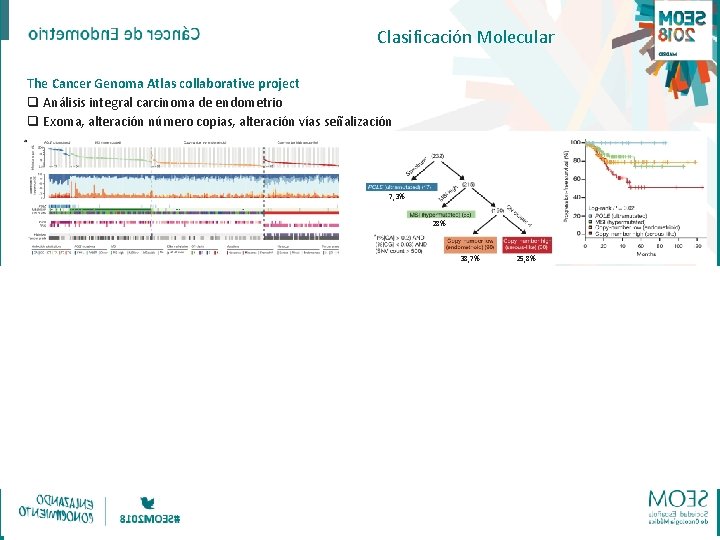 Clasificación Molecular The Cancer Genoma Atlas collaborative project q Análisis integral carcinoma de endometrio Clasificación Molecular The Cancer Genoma Atlas collaborative project q Análisis integral carcinoma de endometrio