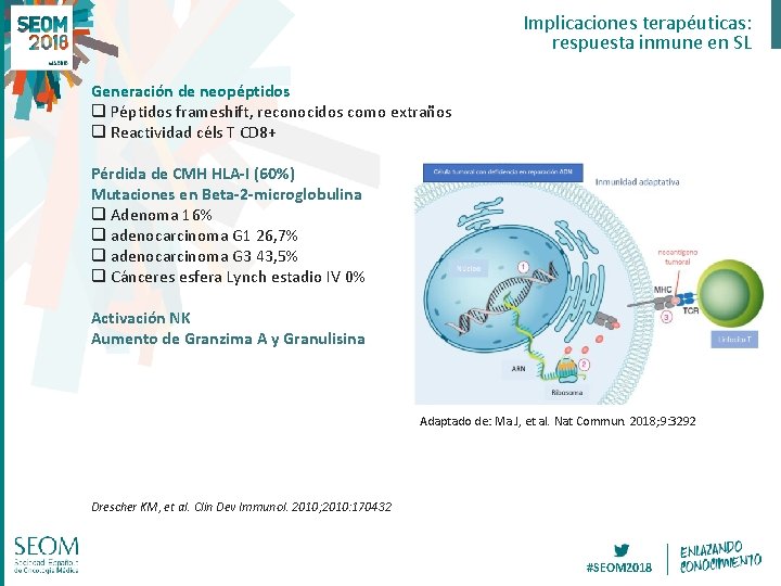 Implicaciones terapéuticas: respuesta inmune en SL Generación de neopéptidos q Péptidos frameshift, reconocidos como Implicaciones terapéuticas: respuesta inmune en SL Generación de neopéptidos q Péptidos frameshift, reconocidos como