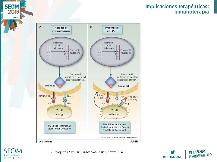Implicaciones terapéuticas: Inmunoterapia Dudley JC, et al. Clin Cancer Res. 2016; 22: 813 -20 Implicaciones terapéuticas: Inmunoterapia Dudley JC, et al. Clin Cancer Res. 2016; 22: 813 -20