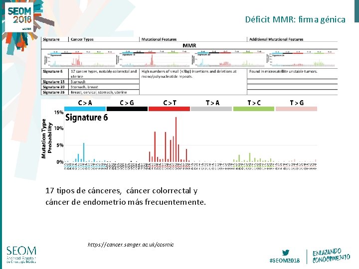 Déficit MMR: firma génica 17 tipos de cánceres, cáncer colorrectal y cáncer de endometrio Déficit MMR: firma génica 17 tipos de cánceres, cáncer colorrectal y cáncer de endometrio