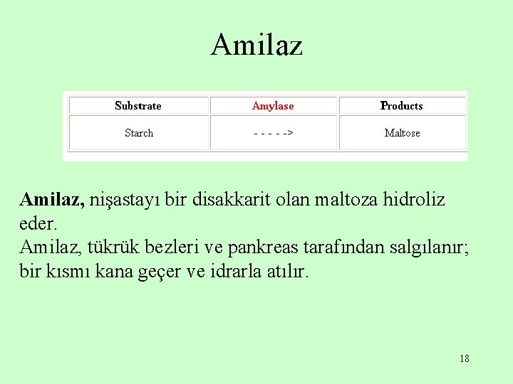 Amilaz, nişastayı bir disakkarit olan maltoza hidroliz eder. Amilaz, tükrük bezleri ve pankreas tarafından